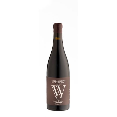 [P0001518] Wellanschitz Blaufränkisch Central Schiefer & Lehm 2021